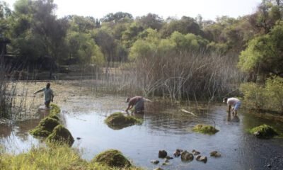 Reserva ecológica del Texcal en Jiutepec, con trabajadores en la zona