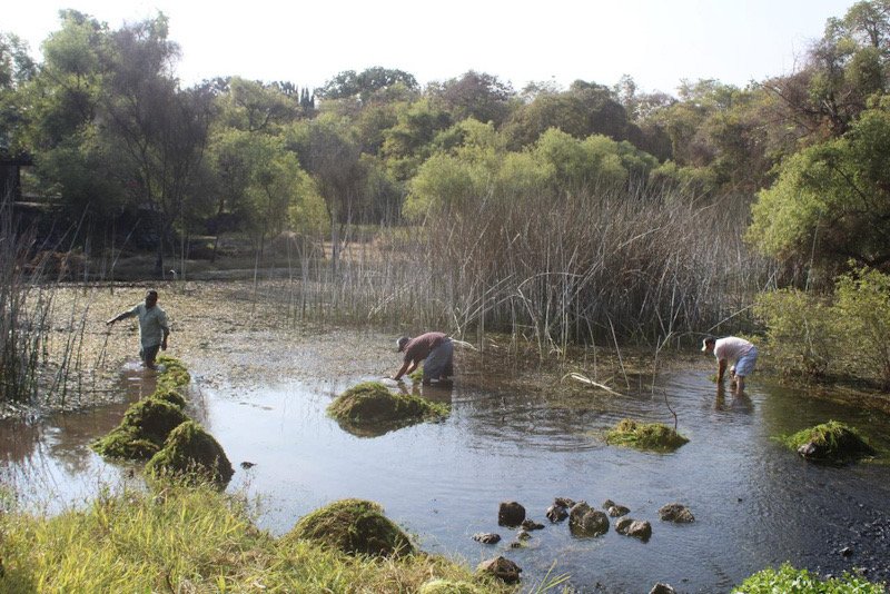 Reserva ecológica del Texcal en Jiutepec, con trabajadores en la zona