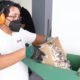 Persona con credenciales de elector trituradas por el INE