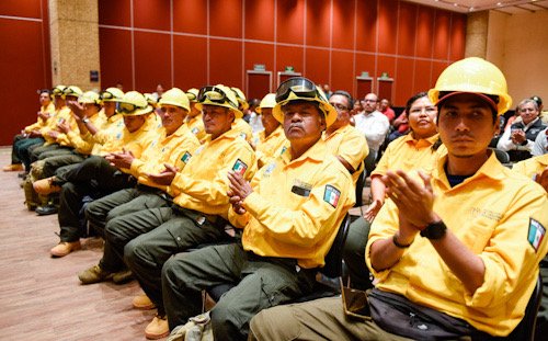 sentados co casco y vistiendo camisa amarilla, trabajadores de Conafor
