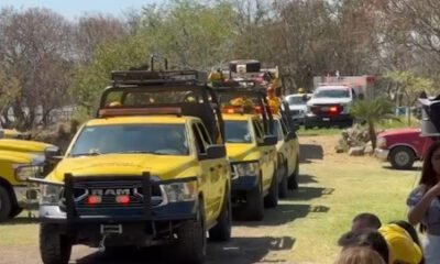 Patrullas de desarrollo sustentable, amarillas en bosque para iniciar jornada contra incendios