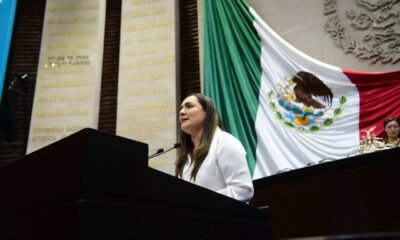 Diputada en tribuna con la bandera de fondo