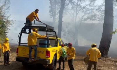 Combatientes vestidos de amarillo en un incendio forestal