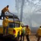 Combatientes vestidos de amarillo en un incendio forestal