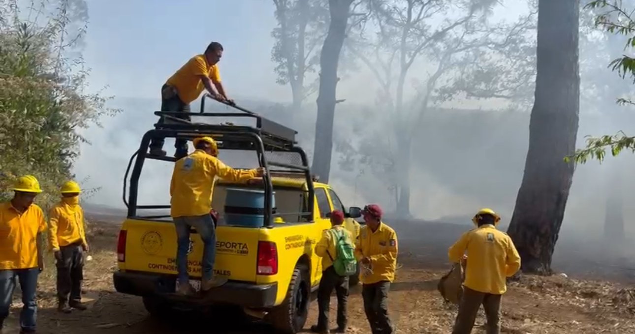 Combatientes vestidos de amarillo en un incendio forestal