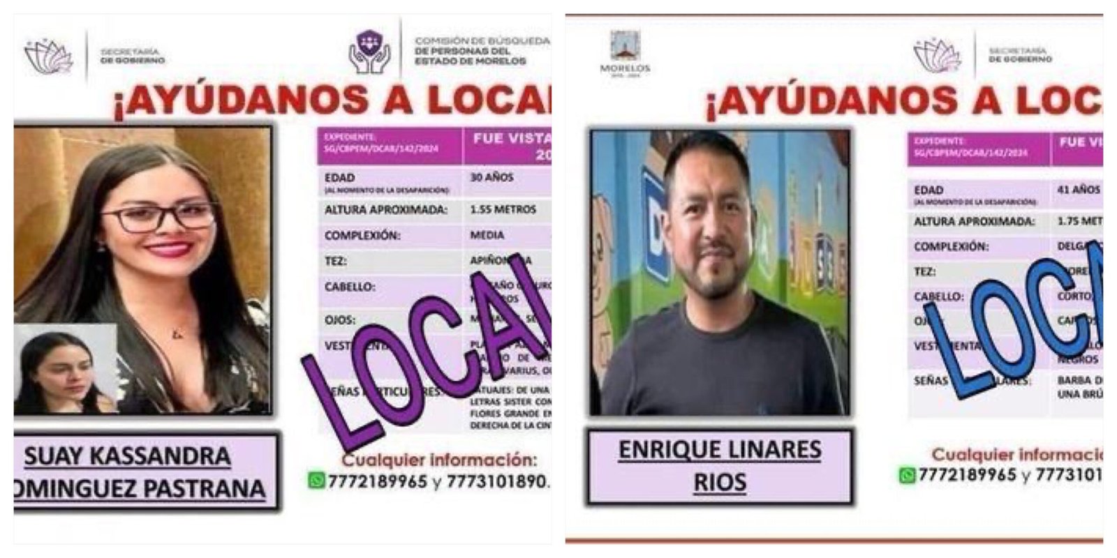 Fichas de búsqueda de dos peritos