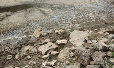 terreno con un poco de agua y unos huesos humanos