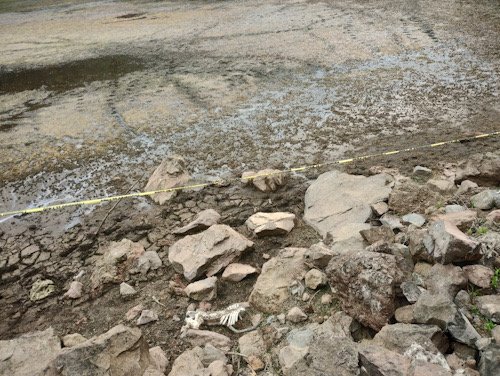 terreno con un poco de agua y unos huesos humanos