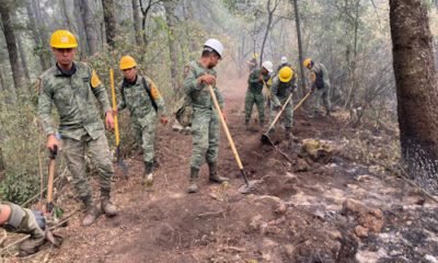 Varios hombres trabajando en un terreno con cascos amarillos