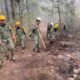 Varios hombres trabajando en un terreno con cascos amarillos