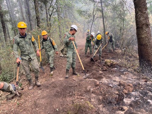 Varios hombres trabajando en un terreno con cascos amarillos