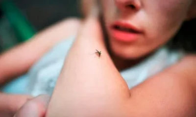 paludismo