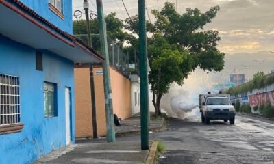dengue
