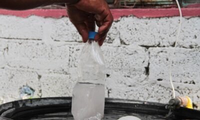 Dengue