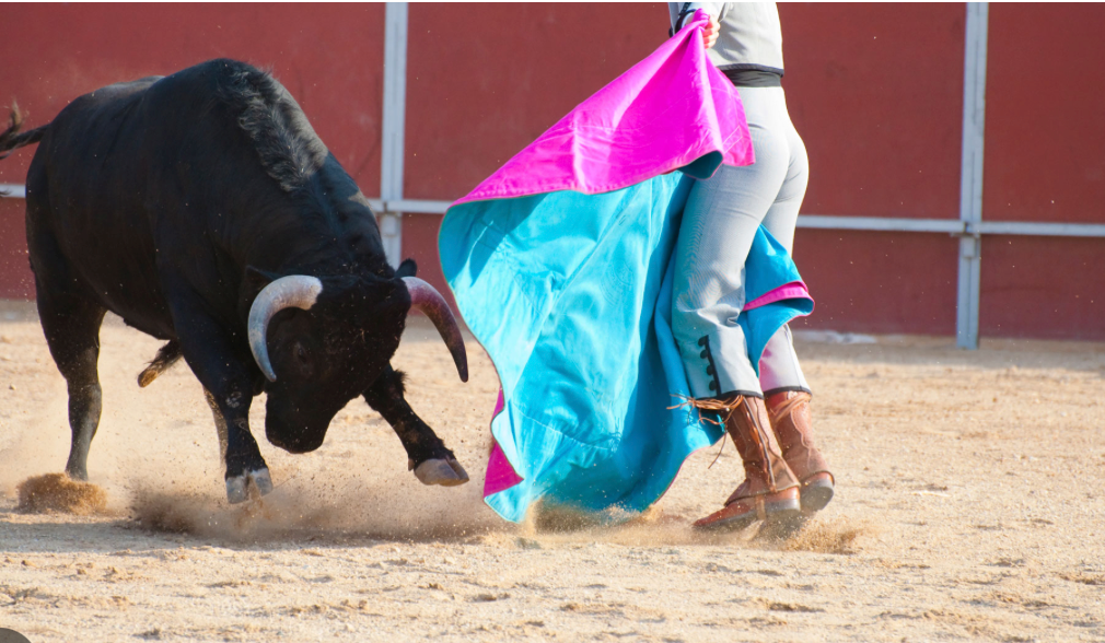 Congreso de la CDMX aprueba corridas de toros sin violencia – Comunica ...