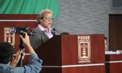 Diputada Ruth Cleotilde