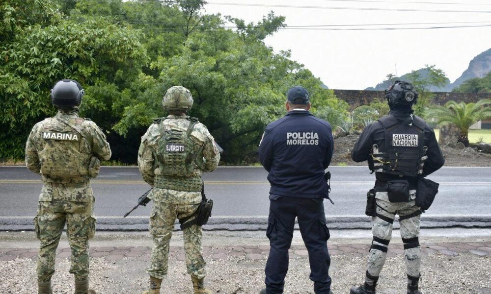La fotografía muestra a elementos de la Marina, ejercito, policía y guardia nacional.
