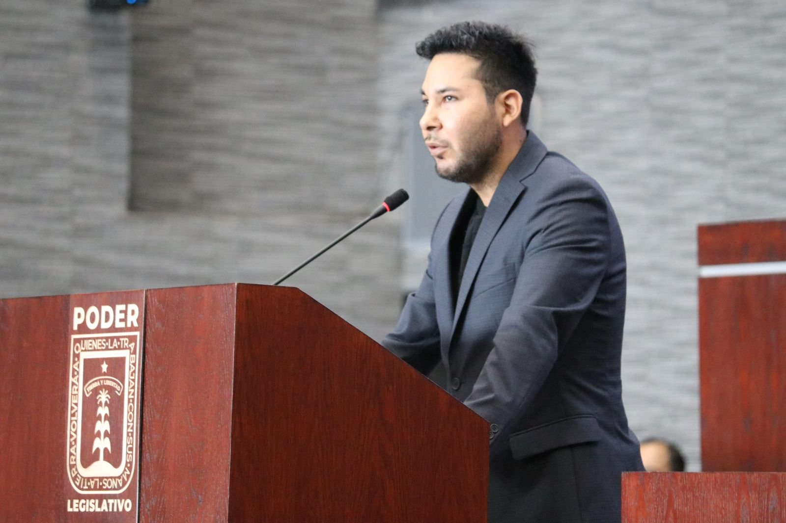 Diputado Gerardo Abarca Peña.