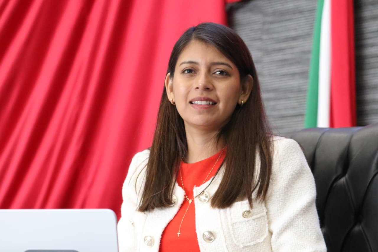 Diputada Eleonor Martínez