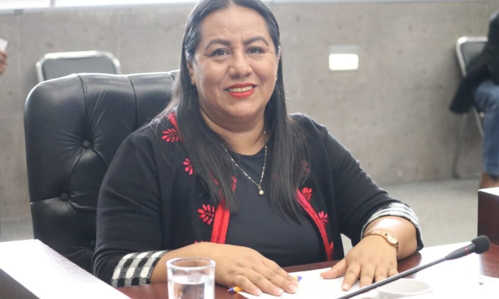 Diputada Jazmín Solano López